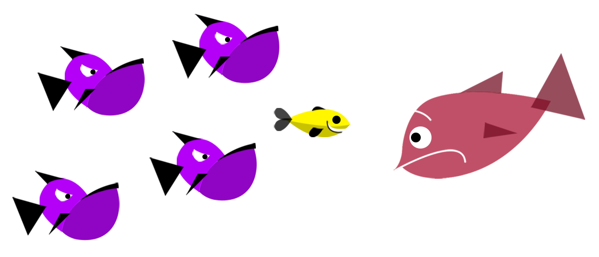 big feat media - banner - fish being intimidated (1165x500)